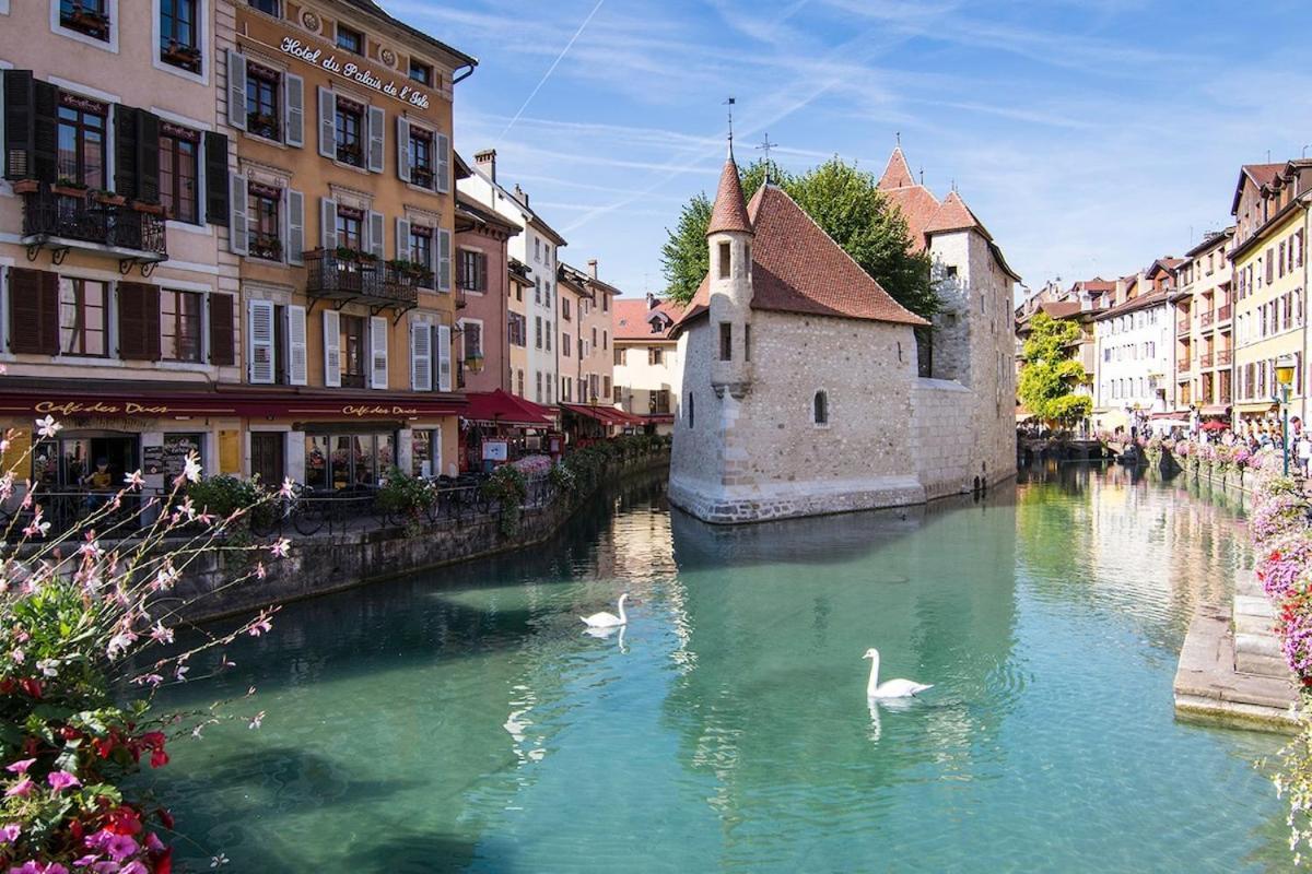 Appartement Perle Du Au Coeur De La Vieille *